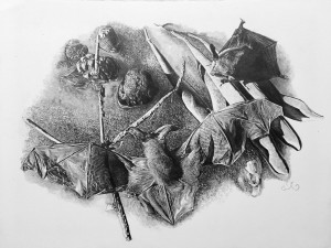Bats with Wisteria Pods and Rat Skull